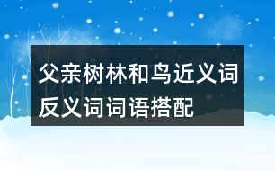 父親、樹林和鳥近義詞反義詞詞語搭配