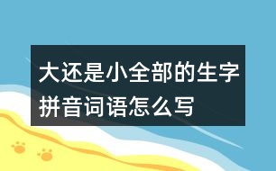 大還是小全部的生字拼音詞語(yǔ)怎么寫(xiě)