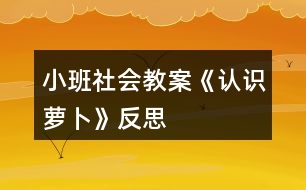 小班社會(huì)教案《認(rèn)識蘿卜》反思