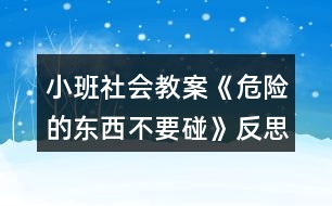 小班社會教案《危險的東西不要碰》反思
