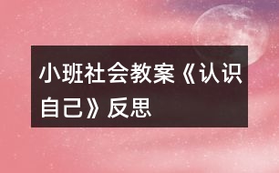 小班社會教案《認(rèn)識自己》反思