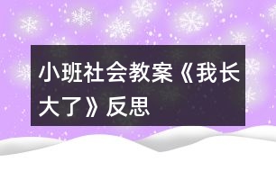 小班社會(huì)教案《我長大了》反思