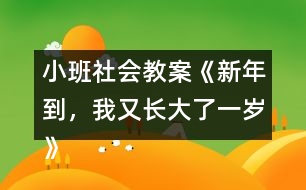 小班社會(huì)教案《新年到，我又長大了一歲》反思