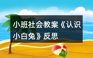 小班社會教案《認(rèn)識小白兔》反思
