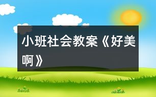 小班社會教案《好美啊》