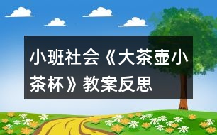 小班社會《大茶壺、小茶杯》教案反思