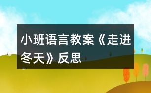 小班語言教案《走進冬天》反思