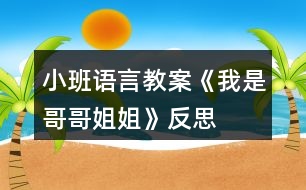 小班語(yǔ)言教案《我是哥哥姐姐》反思