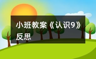 小班教案《認識9》反思