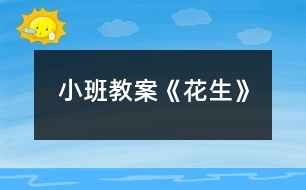 小班教案《花生》
