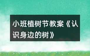 小班植樹節(jié)教案《認(rèn)識(shí)身邊的樹》