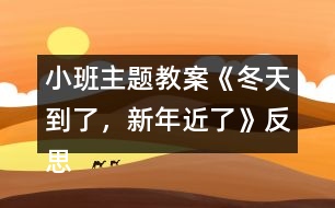 小班主題教案《冬天到了，新年近了》反思