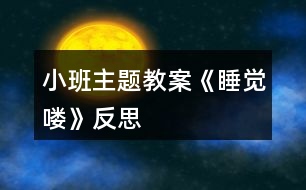 小班主題教案《睡覺嘍》反思