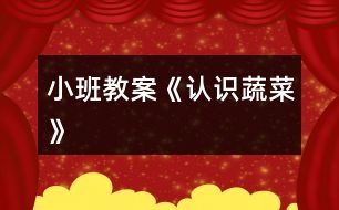 小班教案《認(rèn)識蔬菜》