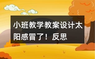 小班教學(xué)教案設(shè)計(jì)太陽感冒了！反思