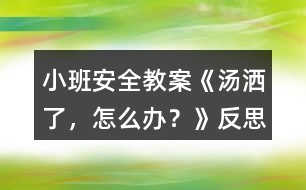 小班安全教案《湯灑了，怎么辦？》反思
