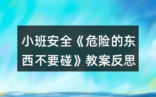 小班安全《危險的東西不要碰》教案反思