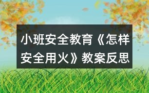 小班安全教育《怎樣安全用火》教案反思