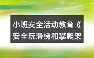 小班安全活動教育《安全玩滑梯和攀爬架》教學設(shè)計反思