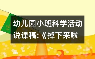 幼兒園小班科學(xué)活動(dòng)說課稿:《掉下來啦》