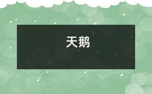天鵝