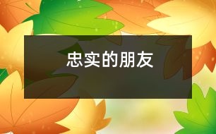 忠實的朋友