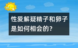 性愛解疑：精子和卵子是如何相會的？
