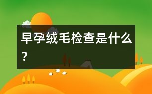 早孕絨毛檢查是什么？