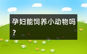 孕婦能飼養(yǎng)小動物嗎？