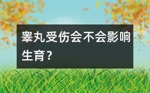 睪丸受傷會(huì)不會(huì)影響生育？