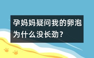 孕媽媽疑問：我的卵泡為什么沒長勁？