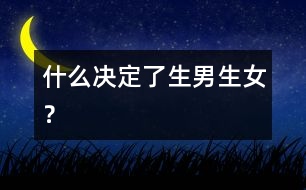 什么決定了生男生女？