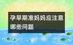 孕早期準(zhǔn)媽媽?xiě)?yīng)注意哪些問(wèn)題