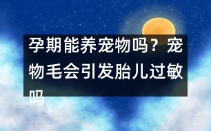 孕期能養(yǎng)寵物嗎？寵物毛會引發(fā)胎兒過敏嗎？