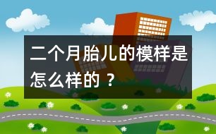 二個(gè)月胎兒的模樣是怎么樣的 ？