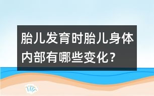 胎兒發(fā)育時(shí)：胎兒身體內(nèi)部有哪些變化？
