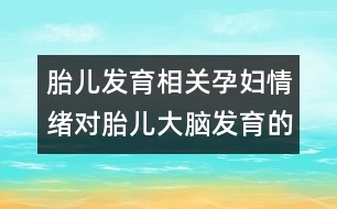 胎兒發(fā)育相關：孕婦情緒對胎兒大腦發(fā)育的影響
