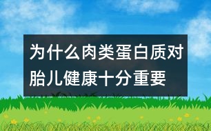 為什么肉類蛋白質(zhì)對(duì)胎兒健康十分重要