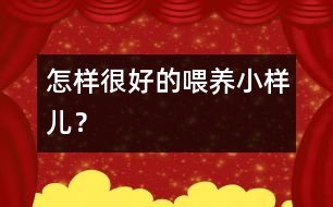怎樣很好的喂養(yǎng)小樣兒？