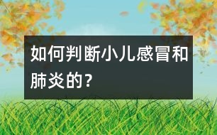 如何判斷小兒感冒和肺炎的？