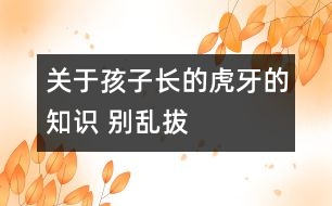 關(guān)于孩子長的虎牙的知識(shí) 別亂拔