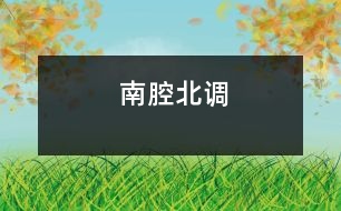 南腔北調