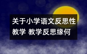 關(guān)于小學(xué)語文反思性教學(xué) 教學(xué)反思緣何起？