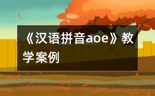 《漢語(yǔ)拼音a、o、e》教學(xué)案例