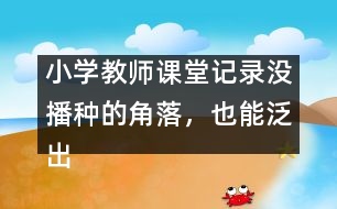 小學教師課堂記錄：沒播種的角落，也能泛出綠意