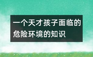 一個天才孩子面臨的危險環(huán)境的知識