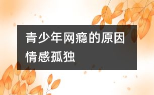青少年網(wǎng)癮的原因 情感孤獨(dú)