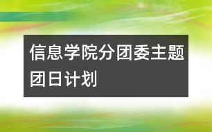信息學院分團委主題團日計劃