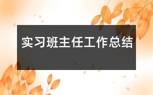 實習班主任工作總結(jié)