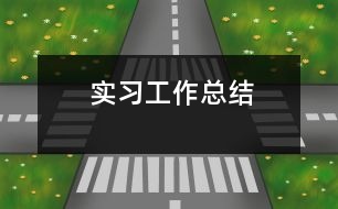 實習工作總結